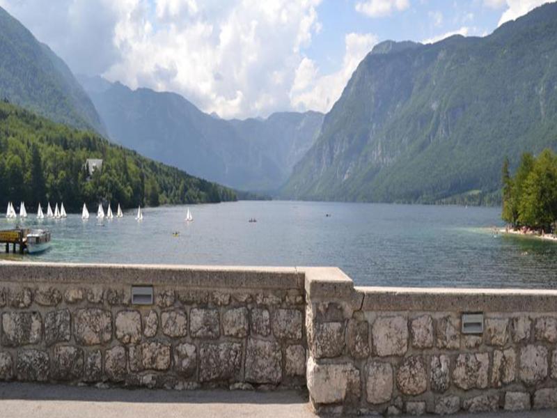 Hotel Hotel Bohinj